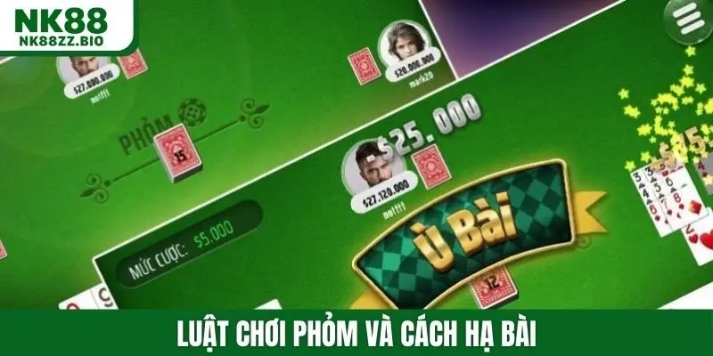 Luật chơi phỏm và cách hạ bài