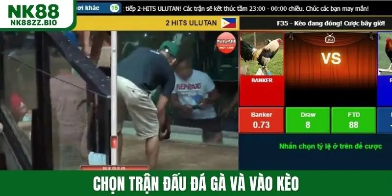 Chọn trận đấu đá gà và vào kèo